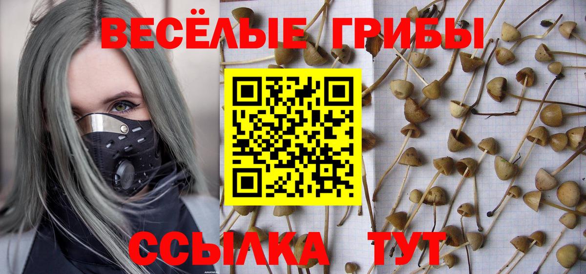Самара  Галлюциногенные грибы ЛСД  Псилоцибиновые грибы Psilocybe  Вход с VPN 