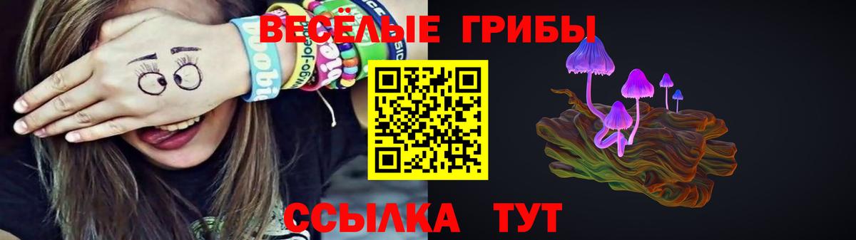 Псилоцибиновые грибы Cubensis Самара